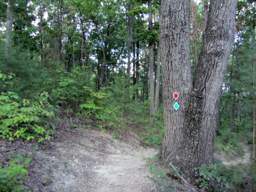 Biology Trail