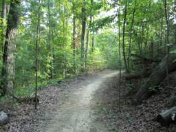 Biology Trail