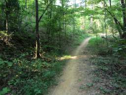 Biology Trail