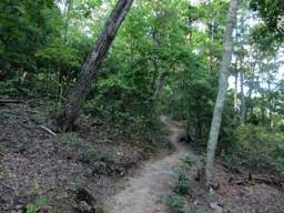 Biology Trail