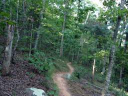 Biology Trail
