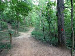 Biology Trail
