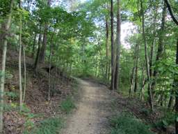 Biology Trail