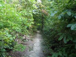 Biology Trail