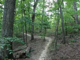 Biology Trail