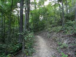 Biology Trail