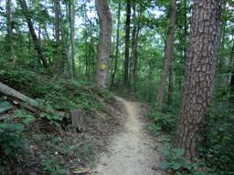 Biology Trail