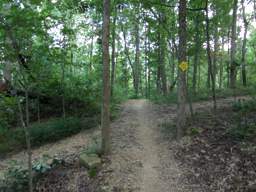 Biology Trail