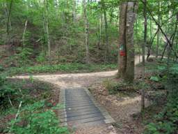 Biology Trail