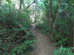 Stringer's Ridge Park