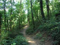 Stringer's Ridge Park