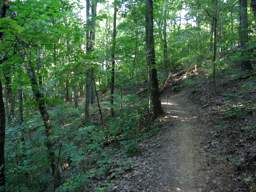 Stringer's Ridge Park