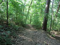 Stringer's Ridge Park