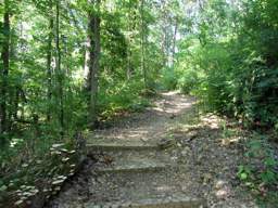 Stringer's Ridge Park