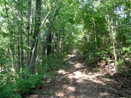 Stringer's Ridge Park