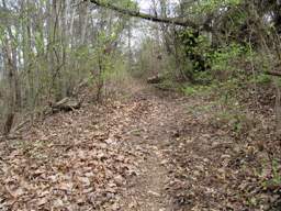 Stringer's Ridge Park