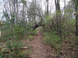 Stringer's Ridge Park