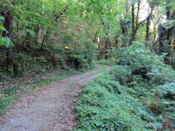 Lookout Mountain Trails