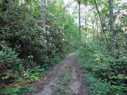 Lookout Mountain Trails