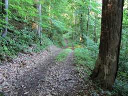 Lookout Mountain Trails