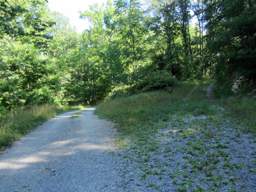 Lookout Mountain Trails