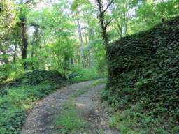 Lookout Mountain Trails