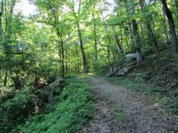 Lookout Mountain Trails
