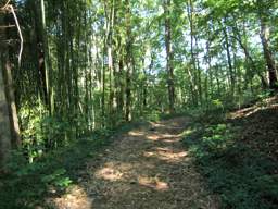 Lookout Mountain Trails