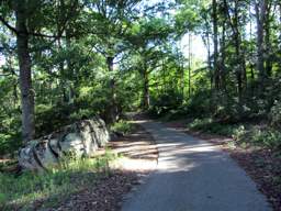Lookout Mountain Trails