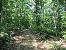 Lookout Mountain Trails