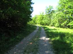 Lookout Mountain Trails
