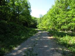 Lookout Mountain Trails