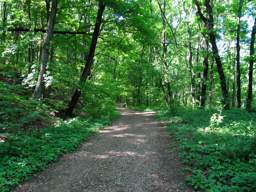 Lookout Mountain Trails