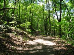 Lookout Mountain Trails