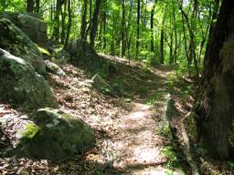 Lookout Mountain Trails