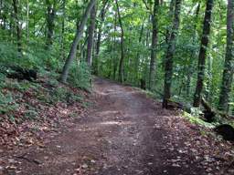 Lookout Mountain Trails