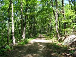 Lookout Mountain Trails