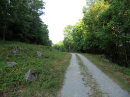 Lookout Mountain Trails