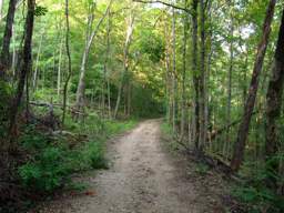 Lookout Mountain Trails