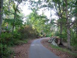 Lookout Mountain Trails