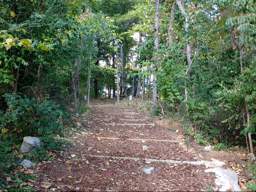 Lookout Mountain Trails