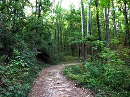 Lookout Mountain Trails