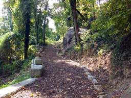 Lookout Mountain Trails