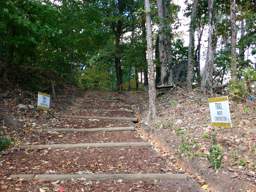 Lookout Mountain Trails