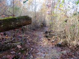Lookout Mountain Trails