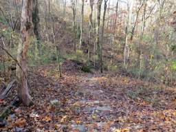 Lookout Mountain Trails