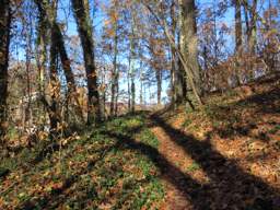 Lookout Mountain Trails