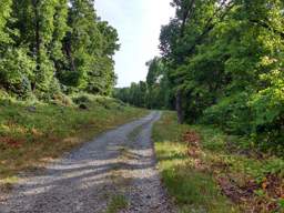 Lookout Mountain Trails