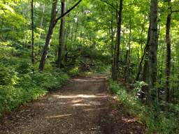 Lookout Mountain Trails