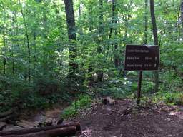 Lookout Mountain Trails